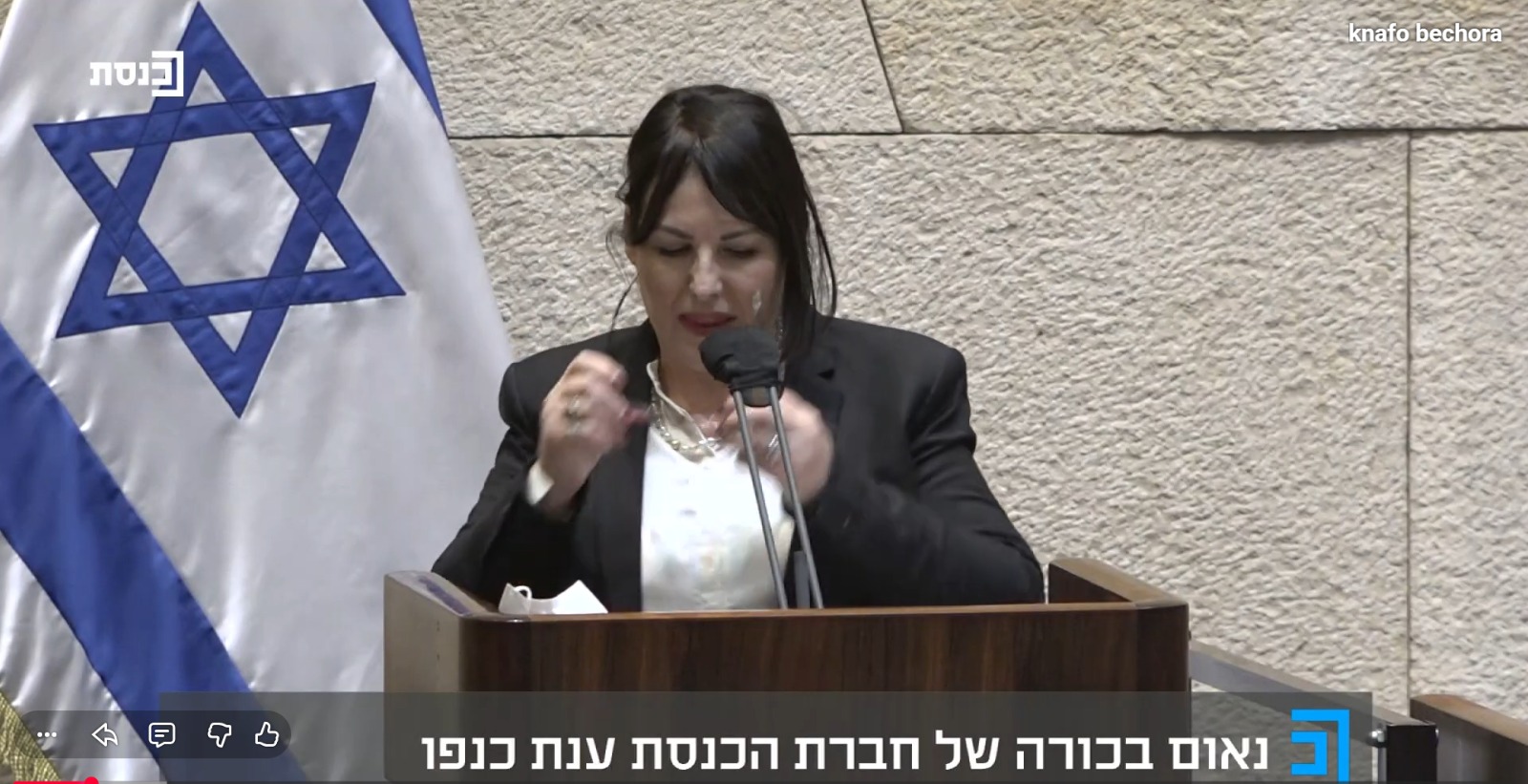 ענת בכנסת.jpeg